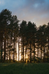 R-mode sees the forest, while L-mode focuses on a single tree